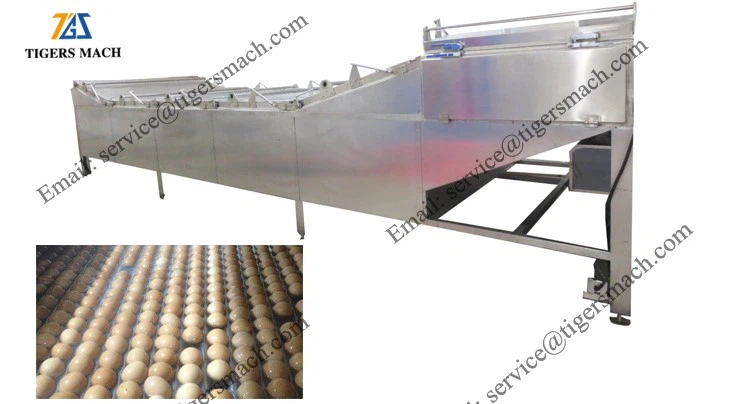 product-750-404 product-750-404