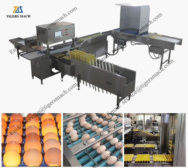 product-750-668