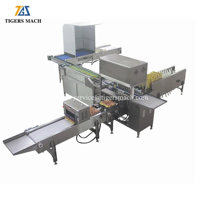 Automatic egg packing machines