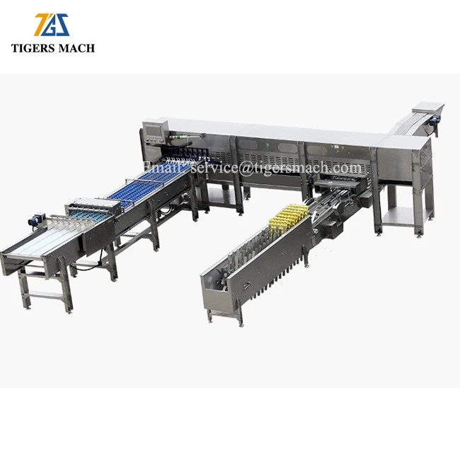 Automatic egg packing machinery