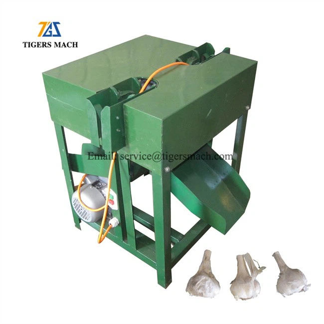 New arrival garlic farm use stem cutting machine from garlic stem removing machine (2)