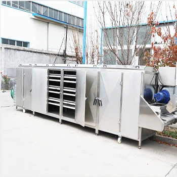 How To Use The Fruit And Vegetable Dryer