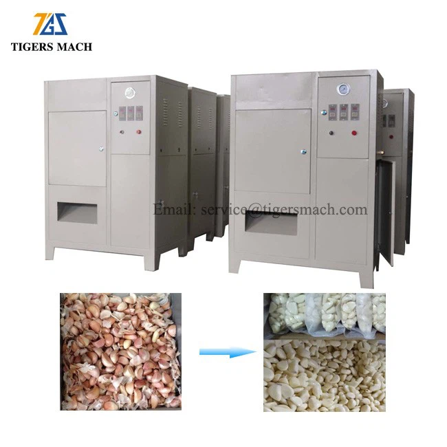 Peeled garlic skin process line