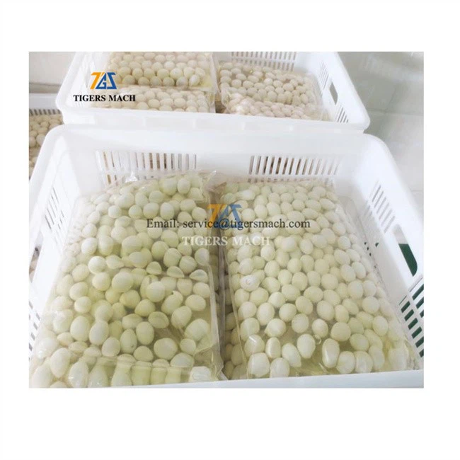 Industrial vacuum packing machine for quail egg solid and salt water liquid pouch package, vacuum packing machine manufacturer