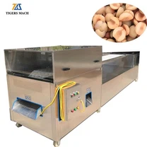 Apricot Seed Removing Machine