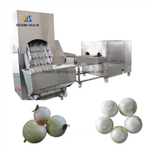 Automatic Onion Peeling Machine