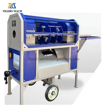 Automatic Sugarcane Peeling Machine