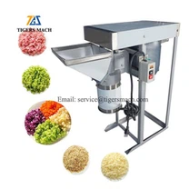 Commercial Garlic Paste Machine
