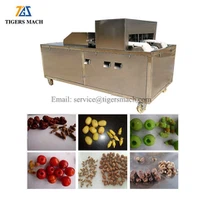 Date Core Removers Machine