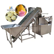 Mango Skin Removing Machine