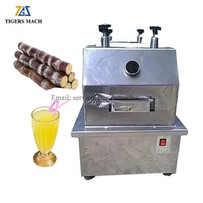 Small Electric Sugarcane Juice Machine