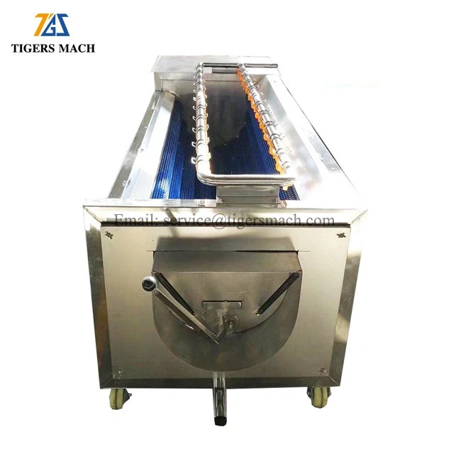 Carrot Washing Machine factory