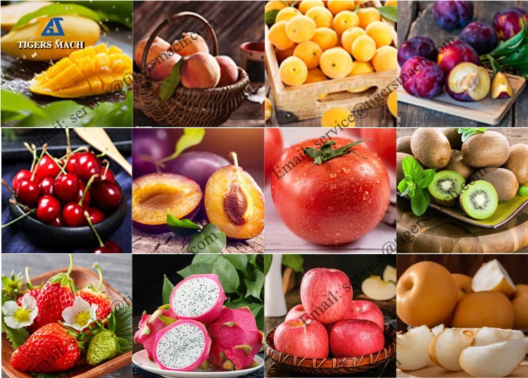 info-750-537 info-750-537