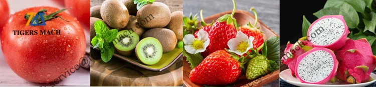 info-750-174 info-750-174