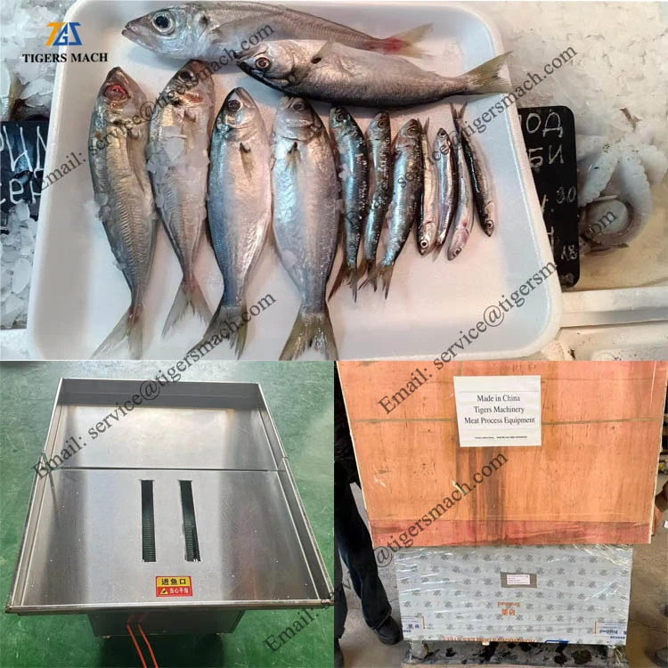 commercial fish killing machinery commercial fish killing machinery