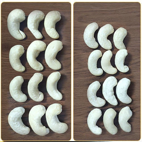 Order Story About Automatic Cashew Nut Peeler Machine And Cashew Kernel Sorti...